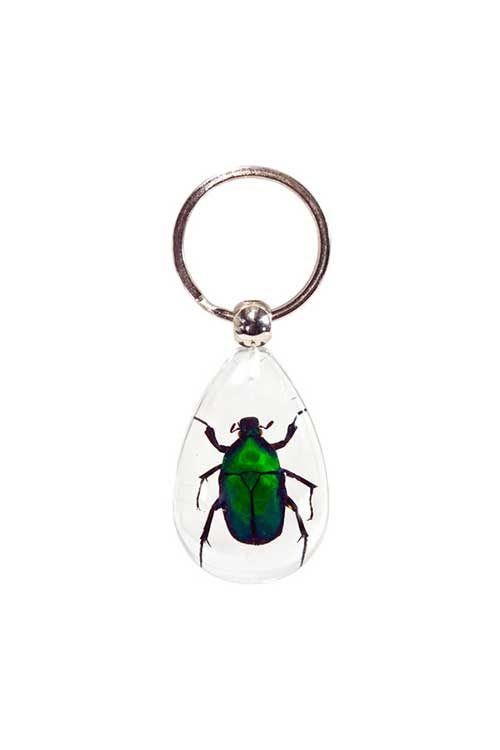 Insect Keychains - Green Beetle 1