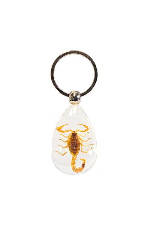 Insect Keychains - Scorpion