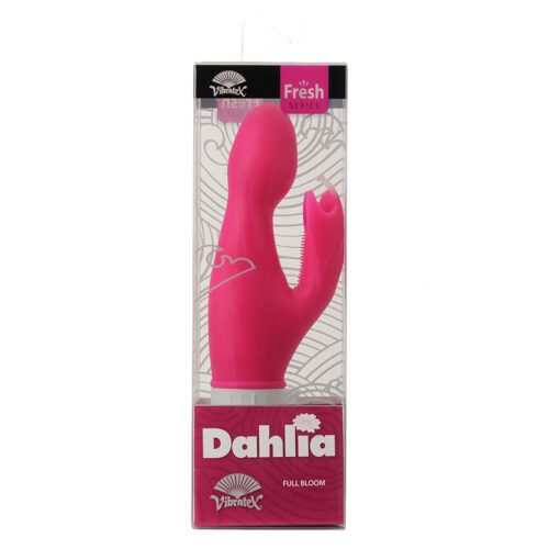 Dahlia Passion Pink 1
