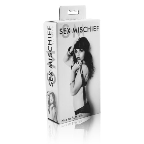 Sex and Mischief Intro to S & M Kit Black 1